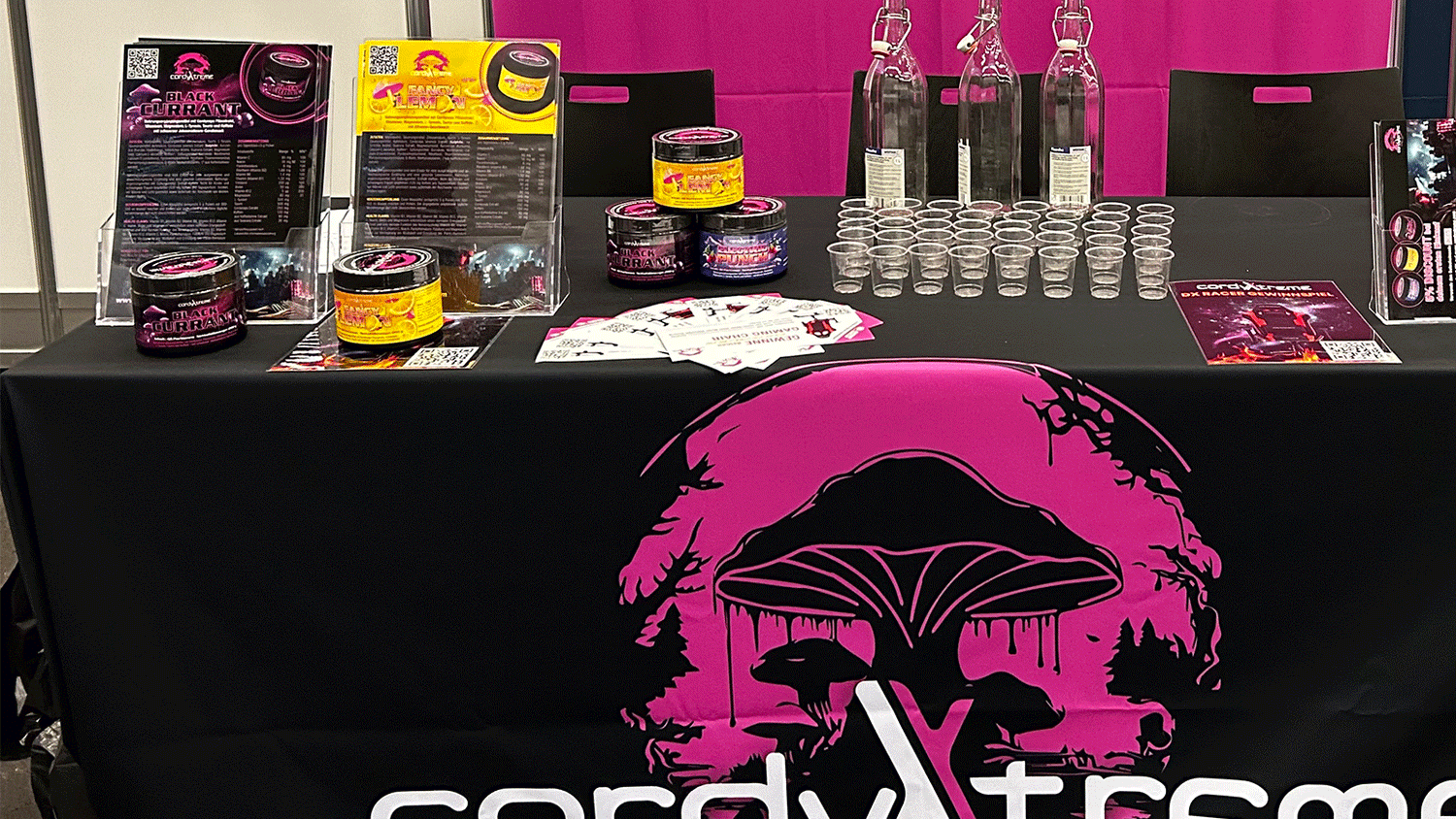 Wir sind auf der Austria Comic Con 2025 – Triff uns in Wels!